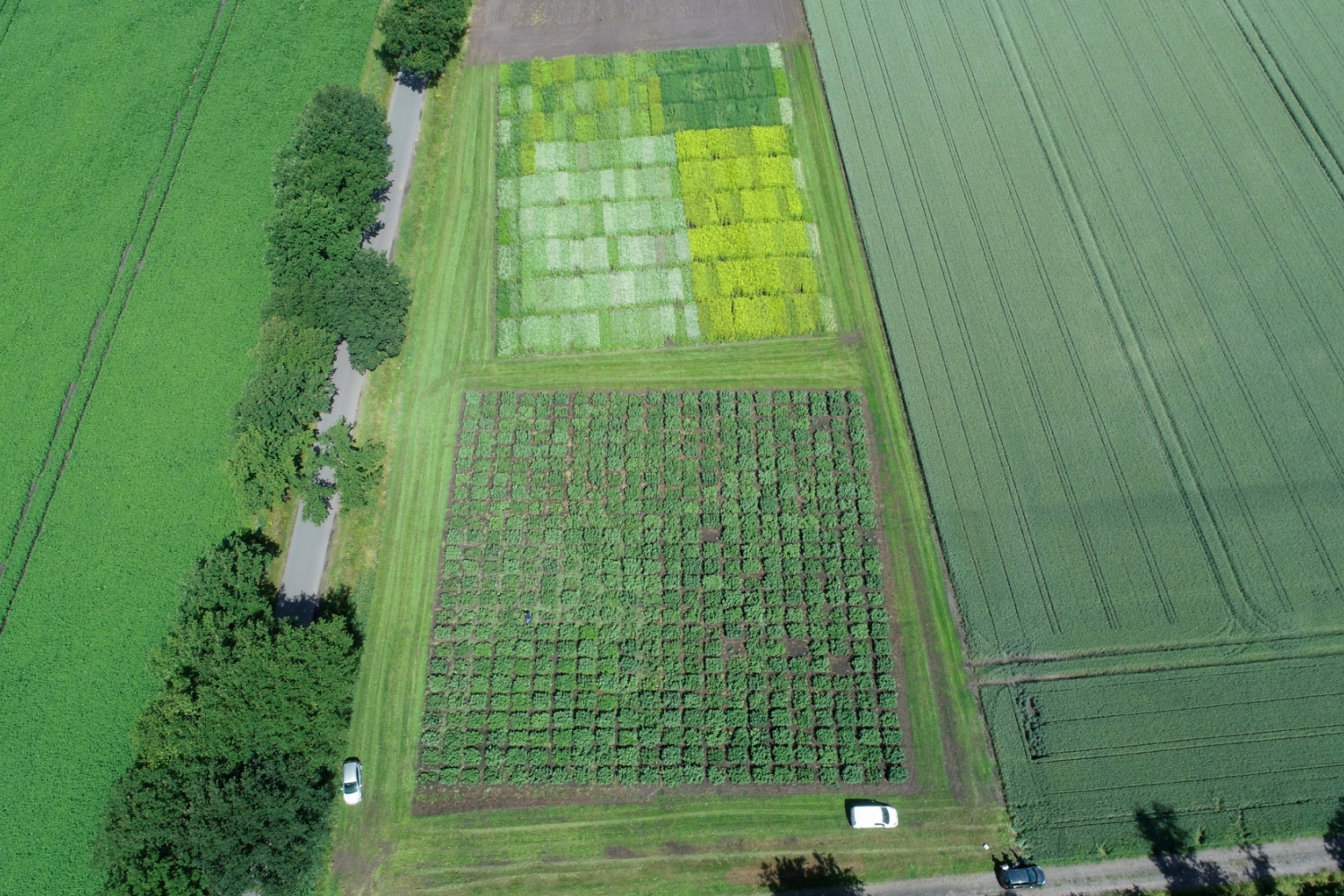 proefveld scheemda