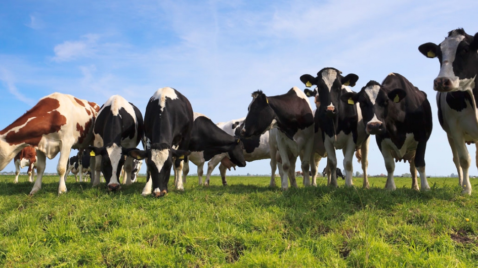 Onze Inzet Voor Duurzame Landbouw | Vandinter Semo