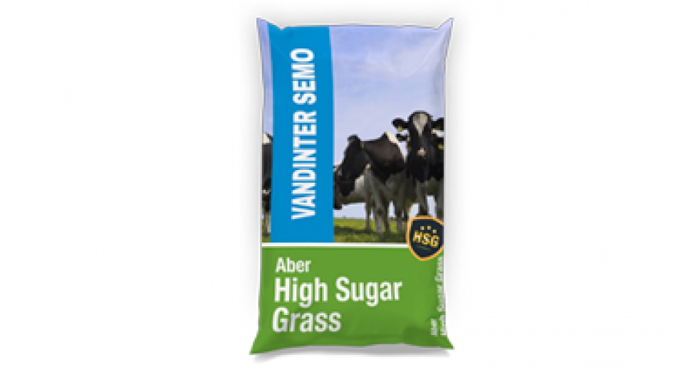 High Sugar Grass areaal naar 5000 hectare in Nederland.